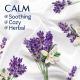 Серветки для сушильних машин Downy лаванда та ваніль Laundry Fabric Softener, CALM, Lavender and Vanilla Bean, 60 шт 