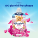 Кондиціонер для білизни концентрований Coccolino Sensatione Seta (76 прань) 1,75 л Кондиціонер для білизни концентрований Coccolino Sensatione Seta (76 прань) 1,75 л