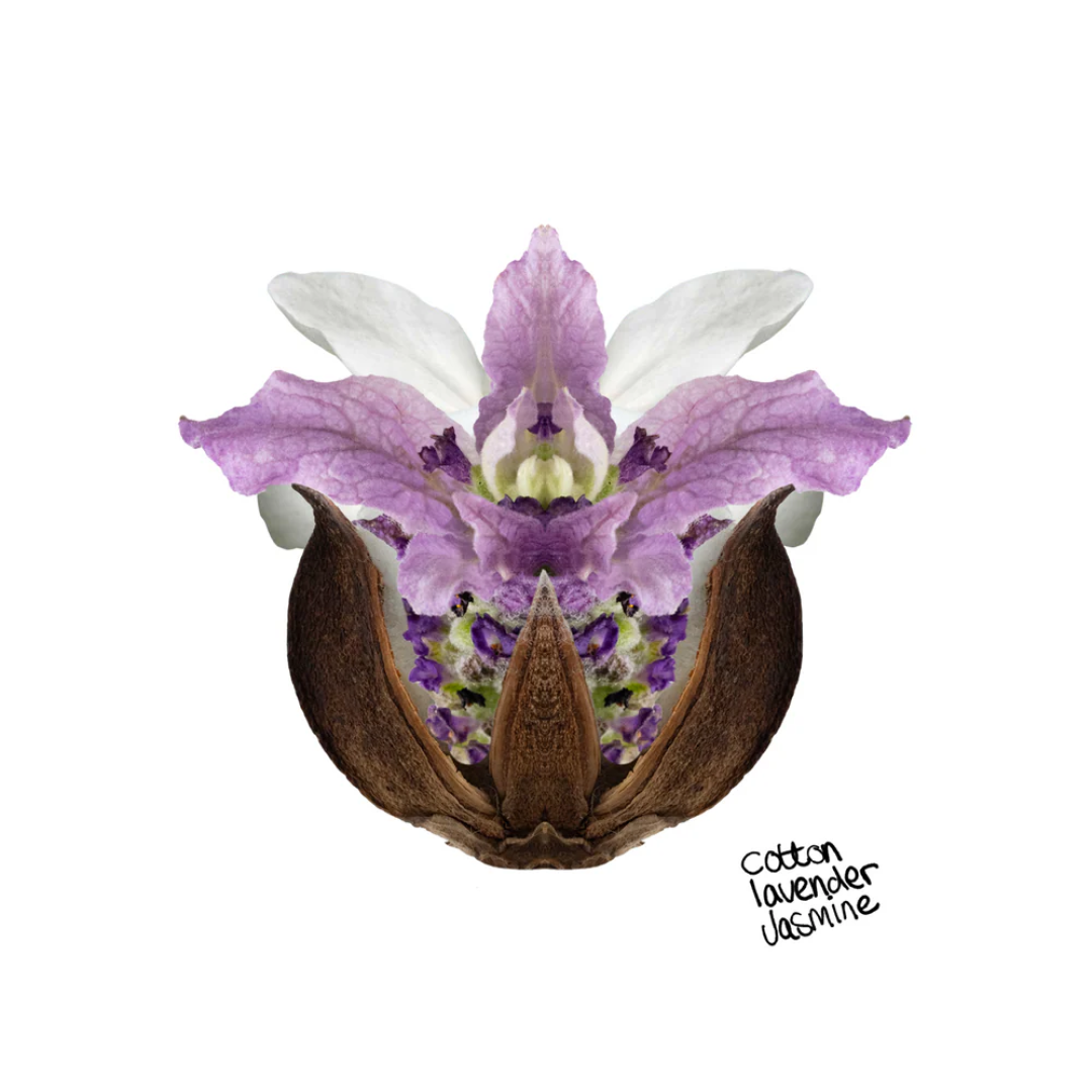 Розслаблююча свічка зі 100% соєвого воску THE LABCO. Relaxing 100% Soy Wax Candle, 280 г