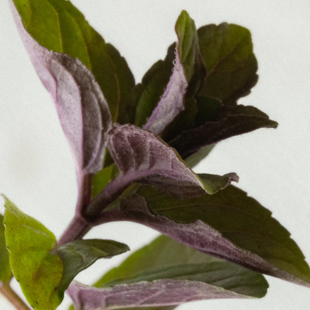 Засіб для прання THE LABCO. Refreshing Laundry Detergent (40 прань), 1 л