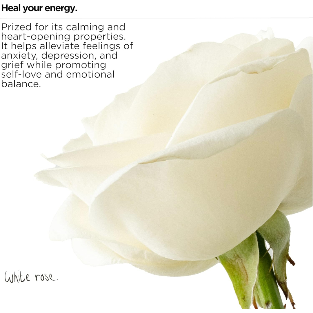 Засіб для миття посуду The Lab Co. Заспокійливий аромат Soothing Washing Up Liquid, 750 мл 