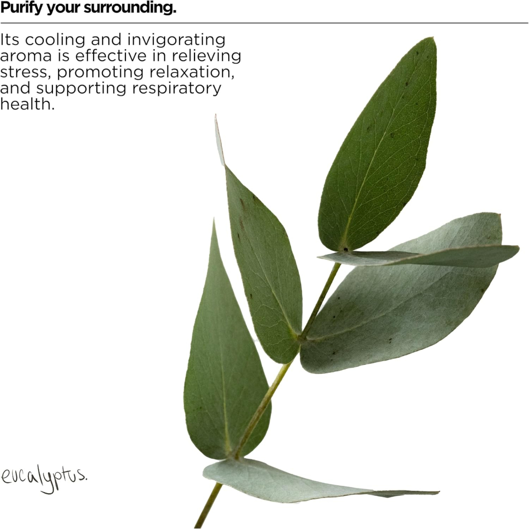 Засіб для миття посуду The Lab Co. Енергетичний аромат Energising Washing Up Liquid, 750 мл