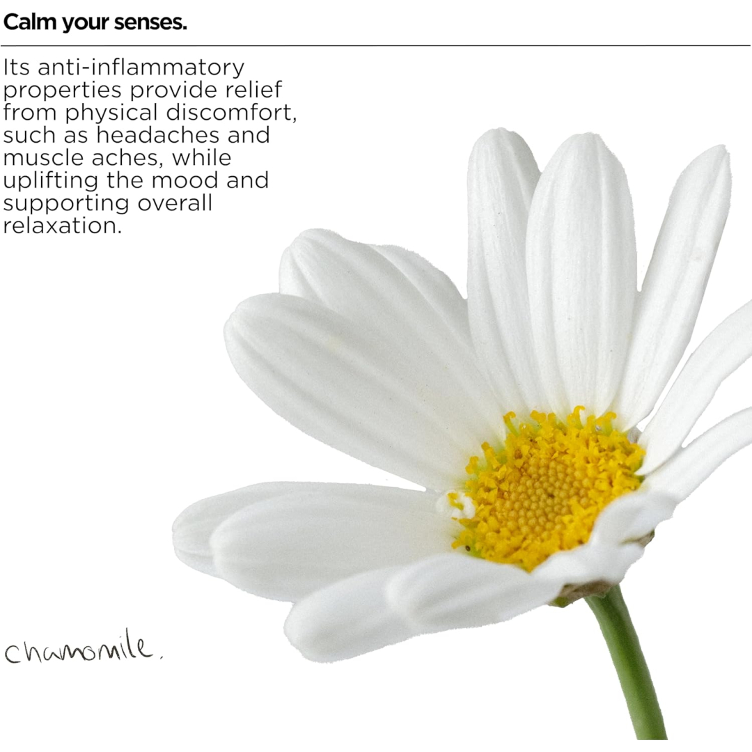 Універсальний засіб для чищення The Lab Co. Заспокійливий аромат Soothing All Purpose Cleaner, 750 мл