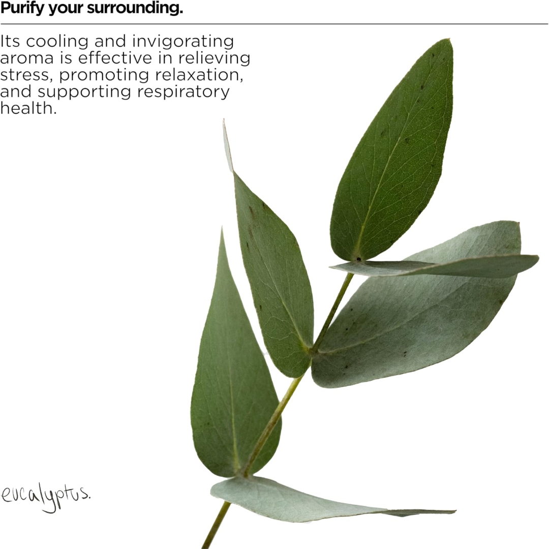 Засіб для миття посуду The Lab Co. Освіжаючий аромат Refreshing Washing Up Liquid, 750 мл