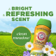 Гранульований кондиціонер ARM & HAMMER з ароматом Лугові квіти, 680 г
