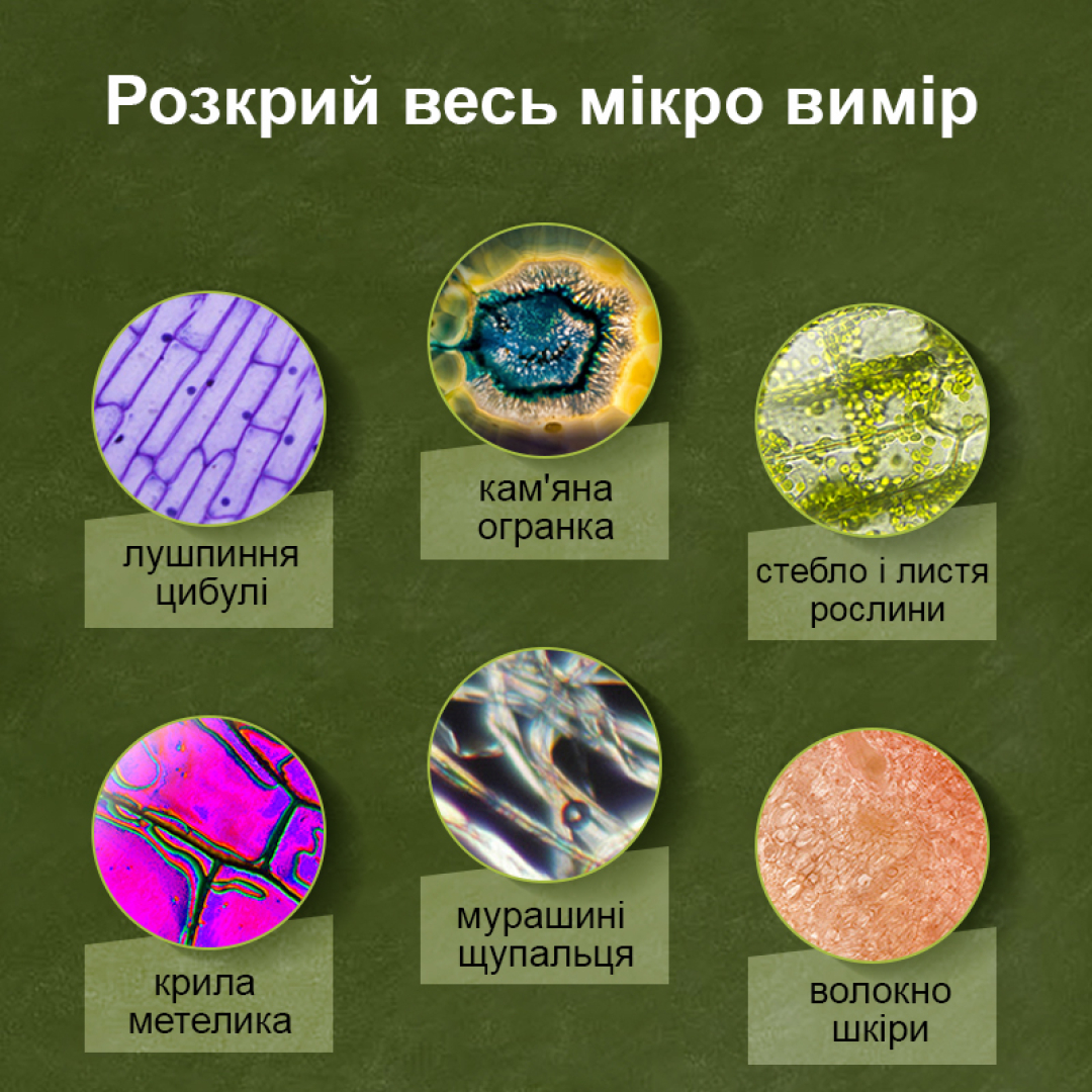 Мікроскоп дитячий Mideer 